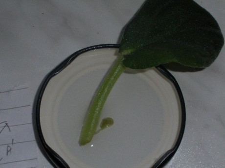 P7090001